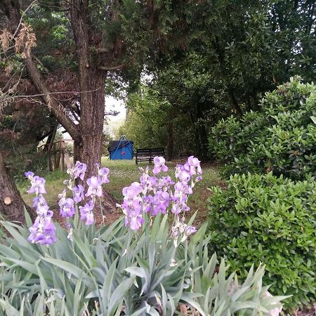 Agriturismo La Fornace Di Rossi Stefano Belvedere  Bagian luar foto