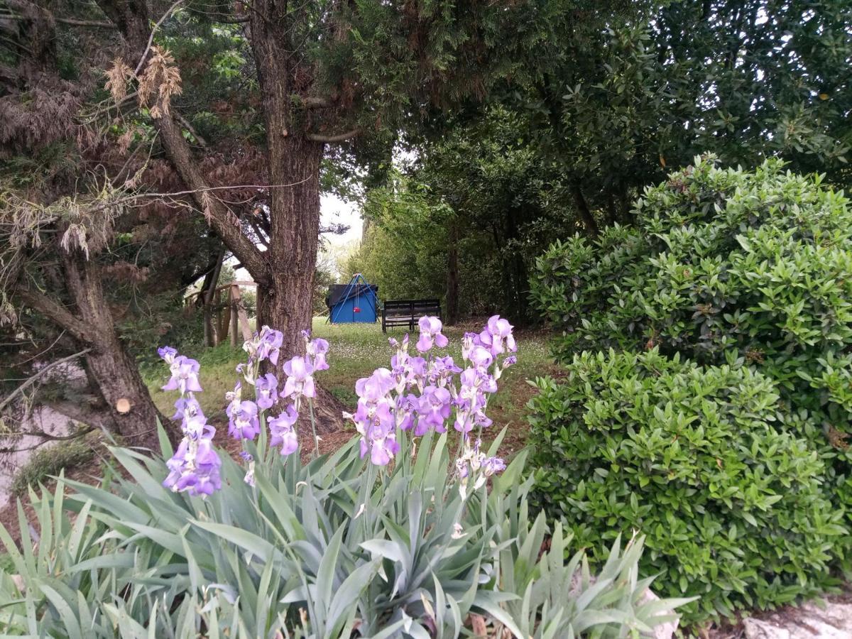 Agriturismo La Fornace Di Rossi Stefano Belvedere  Bagian luar foto